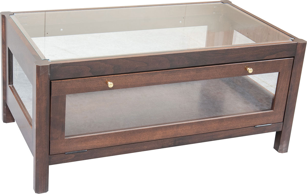 Coffee Table Display Case Curio