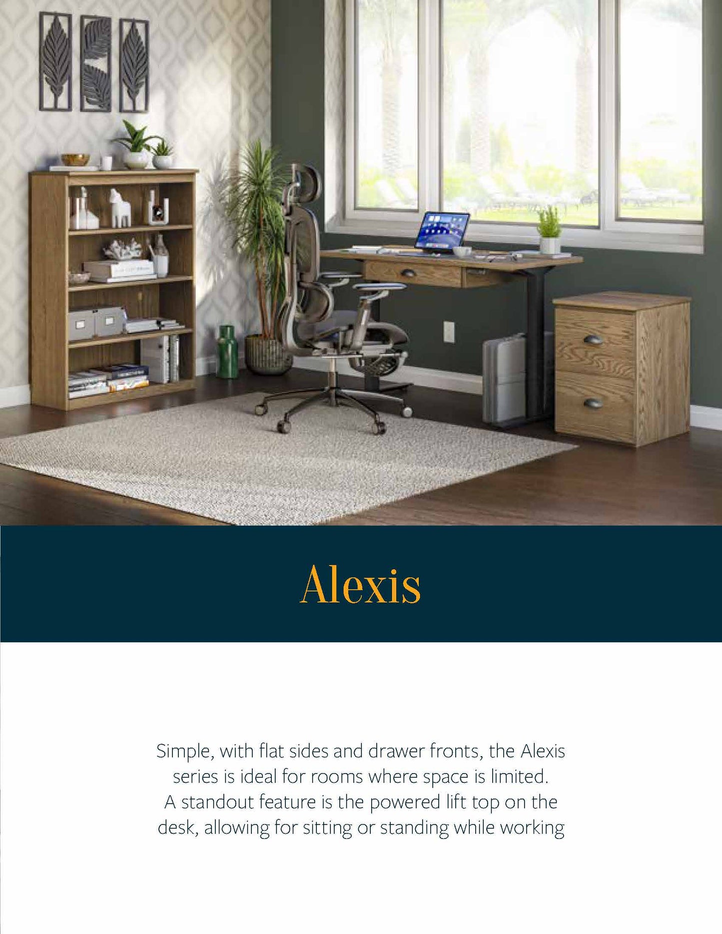 Alexis Bookcase