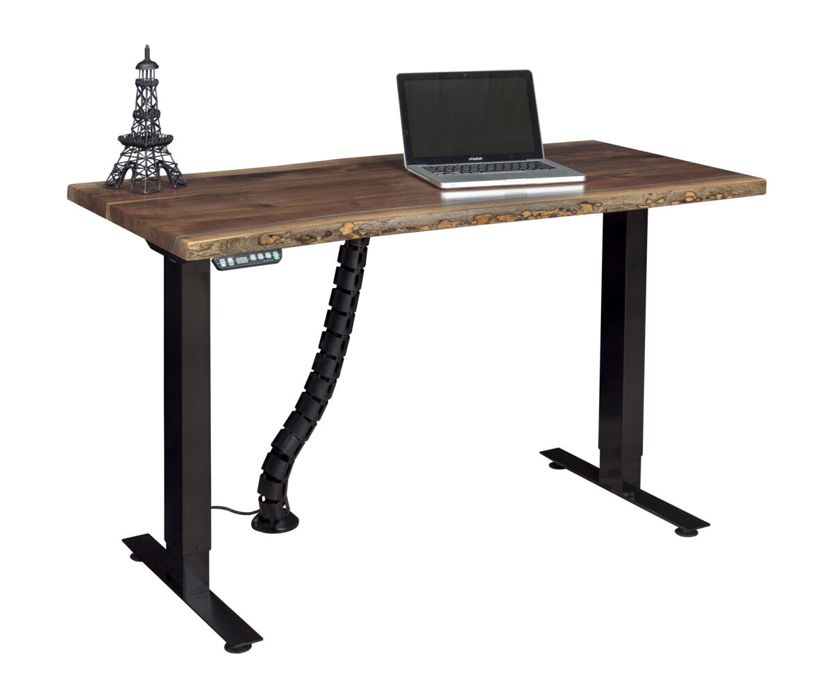 Adona Adjustable Standing Desk