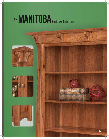 Manitoba 39" Open Bookcase